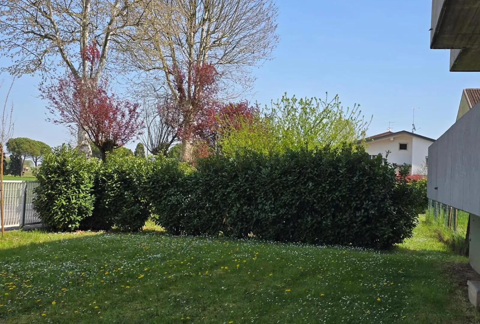Casa Elis Apartment Monastier di Treviso